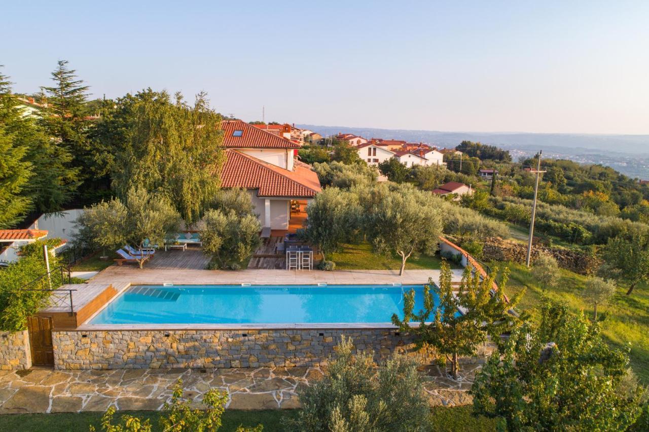 Villa Emi Zgornje Skofije Exterior foto
